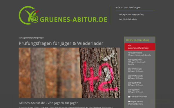 gruenesabitur.de