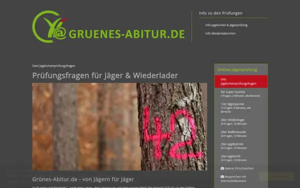 gruenesabitur.de