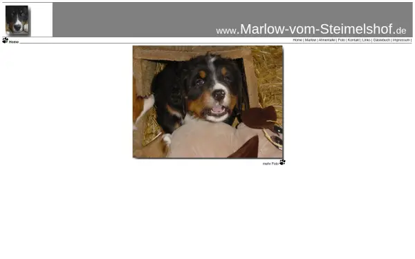 marlow-vom-steimelshof.de