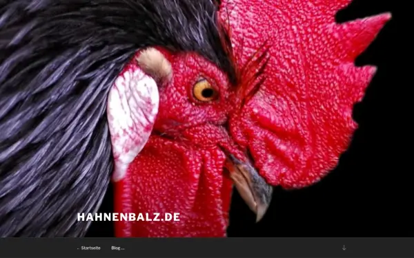 hahnenbalz.de