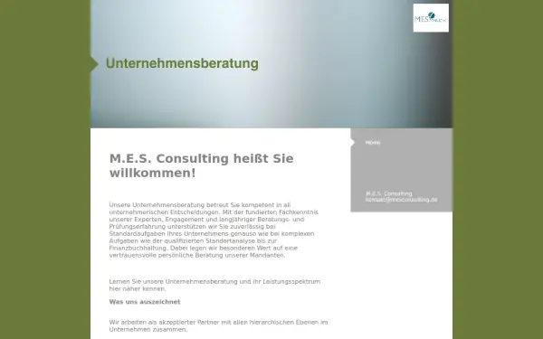mesconsulting.de