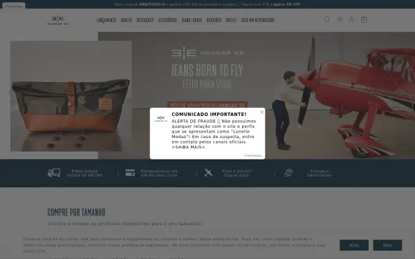 www.hangar33.com.br