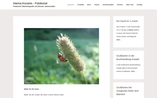 hanna-kocanis.de