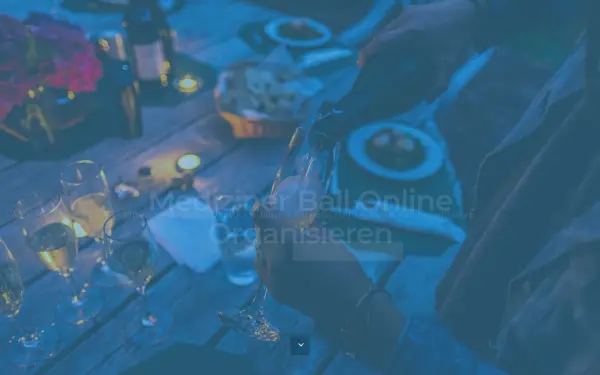 www.mediziner-ball.de
