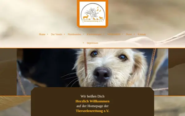 www.tierseelenrettung.de