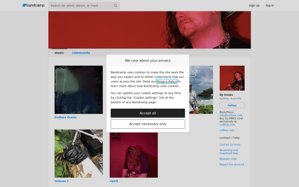 djinnes.bandcamp.com