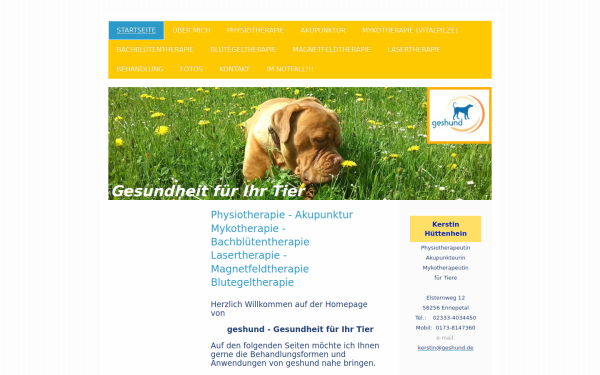 www.geshund.de
