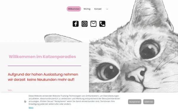 www.daskatzenparadies.de