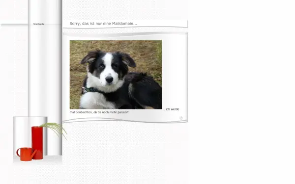 www.arndtde.de