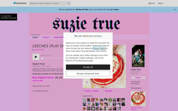 suzietrue.bandcamp.com