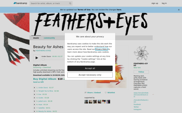 feathersandeyes.bandcamp.com