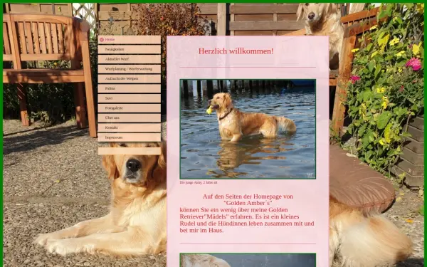 www.golden-aimy.de