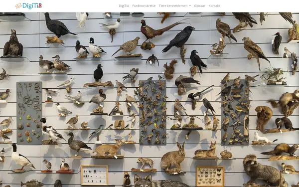 www.digitia.de