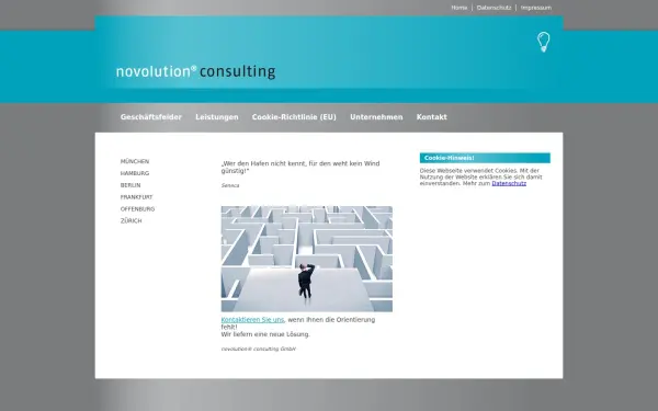 www.novolution-consulting.de