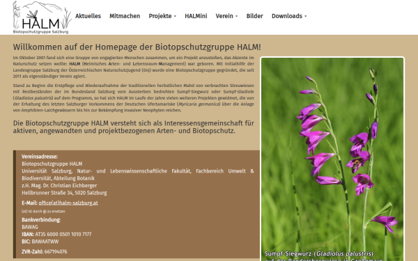 halm-salzburg.at