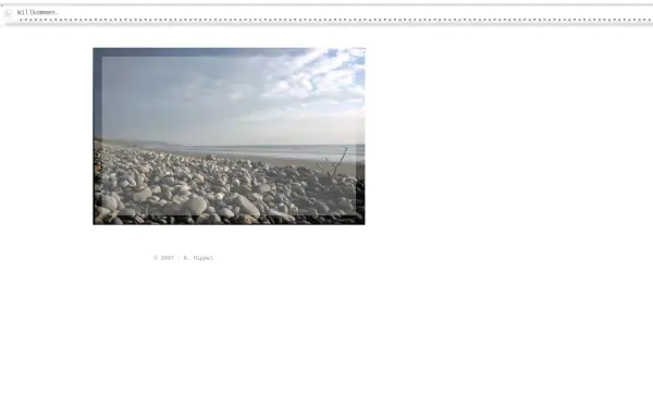 andie-hippel.de