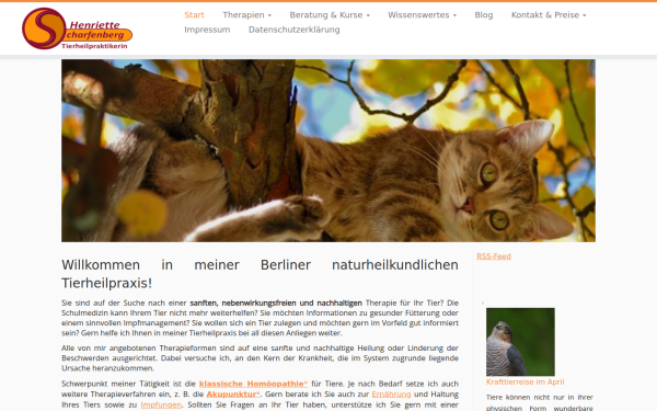 thp-scharfenberg.de