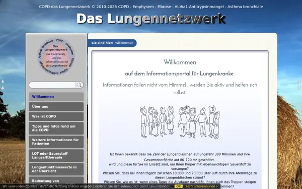 das.lungennetzwerk.bplaced.net