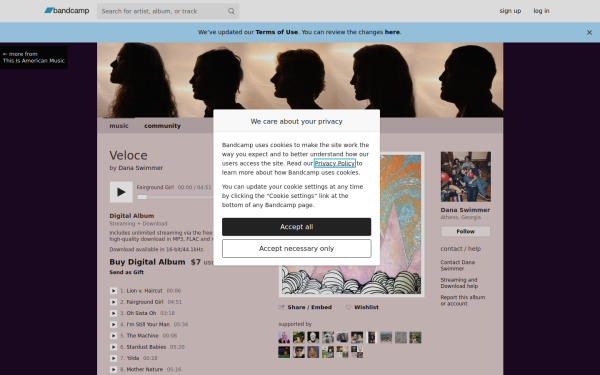 danaswimmer.bandcamp.com