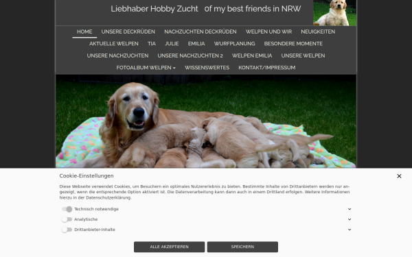goldenretrieverzucht.com