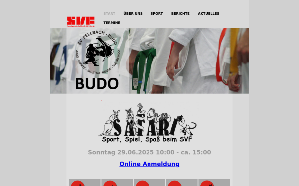 svf-budo.de