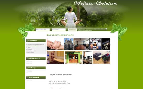 www.gt-wellnesssolutions.at