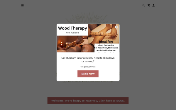 wellnessvibes.net