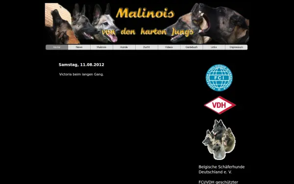 malinois-von-den-harten-jungs.de