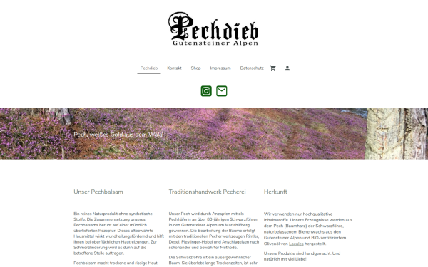 www.pechdieb.at