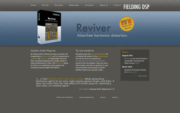 fieldingdsp.com