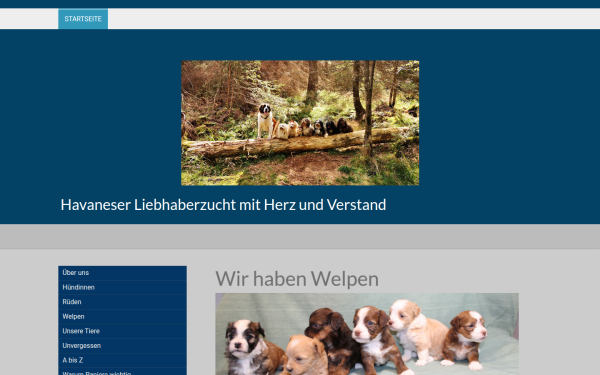 www.moderwald.de