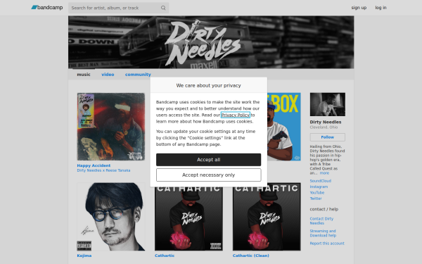 dirtyneedles330.bandcamp.com