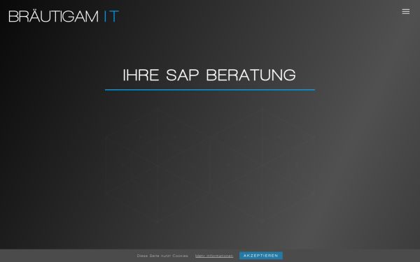 www.braeutigam-it.de