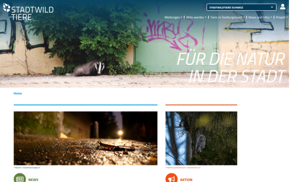 www.stadtwildtiere.ch