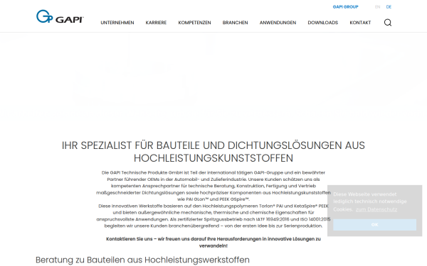 www.gapi.de