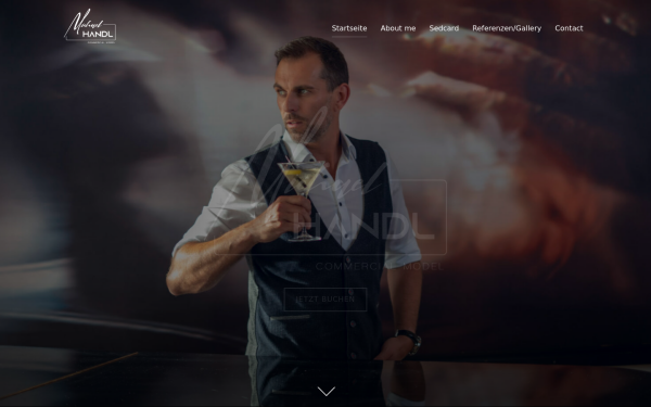 www.michaelhandl.at