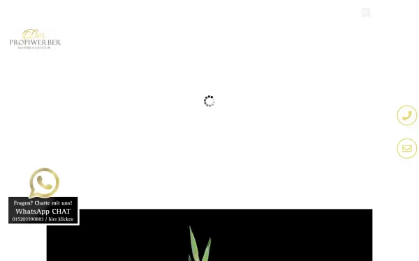 www.derprofiwerber.de