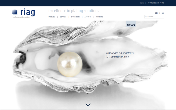 www.riag.ch