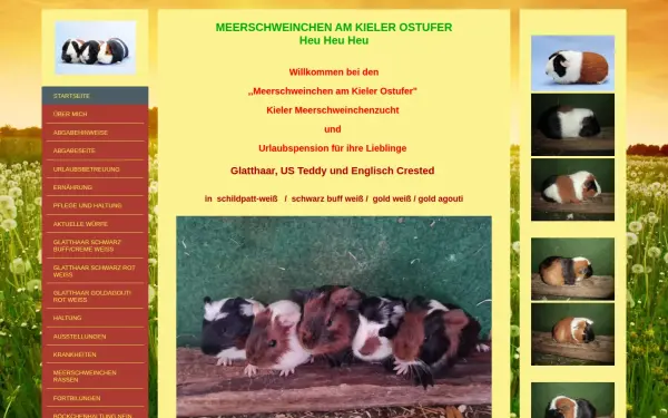 meerschweinchen-am-kieler-ostufer.de