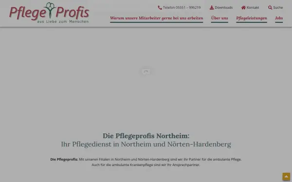 pflegeprofis-northeim.de