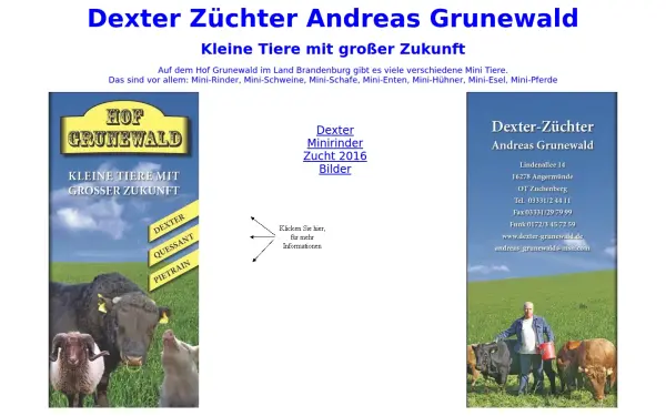 dexter-grunewald.de