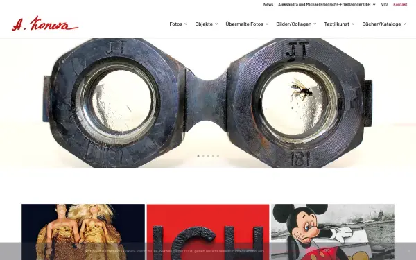 aleksandra-koneva.de