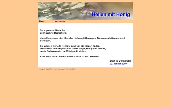 heilen-mit-honig.de