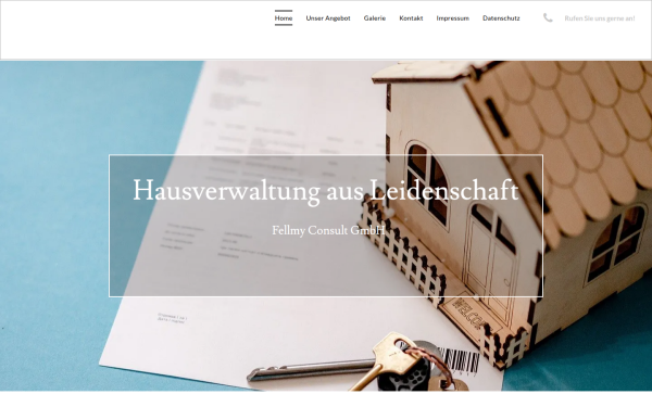 www.fellmy-consult.de