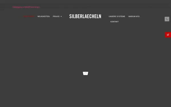 www.silberlaecheln.de