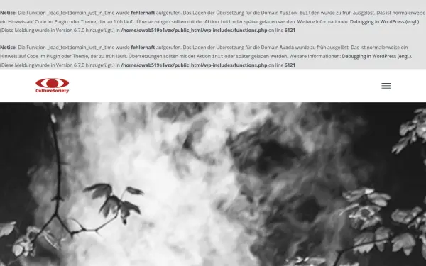 culturesociety.de