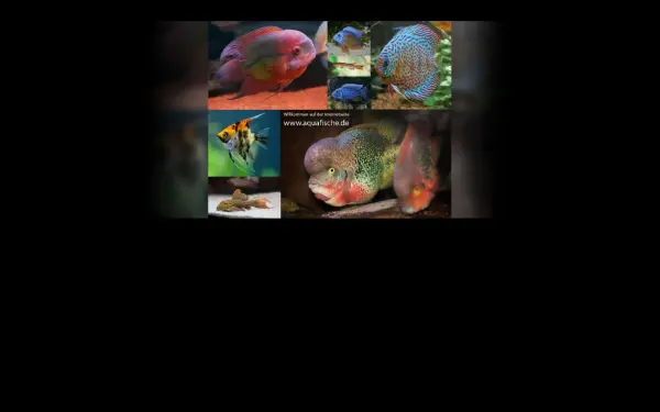 www.aquafische.de