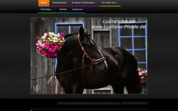 www.lusitanohouse.de