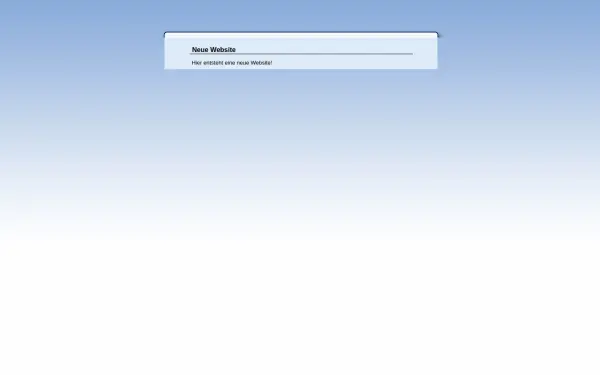 hahn-schornsteinsanierung.de