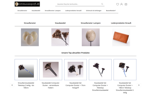 strauss-feder.de